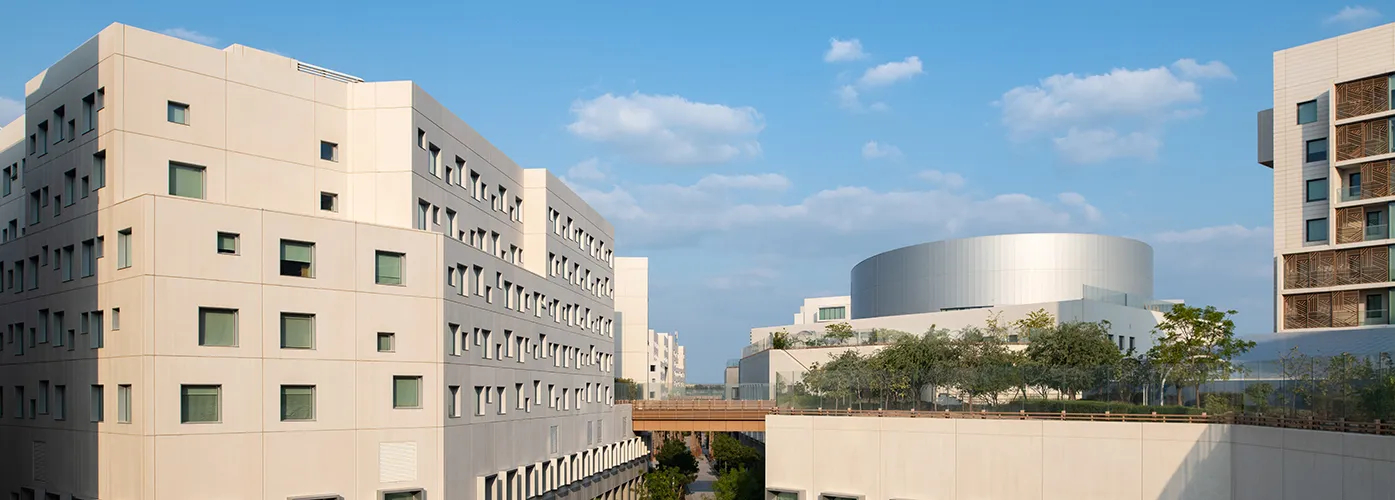  NYU Abu Dhabi Campus, view of the High Line. 