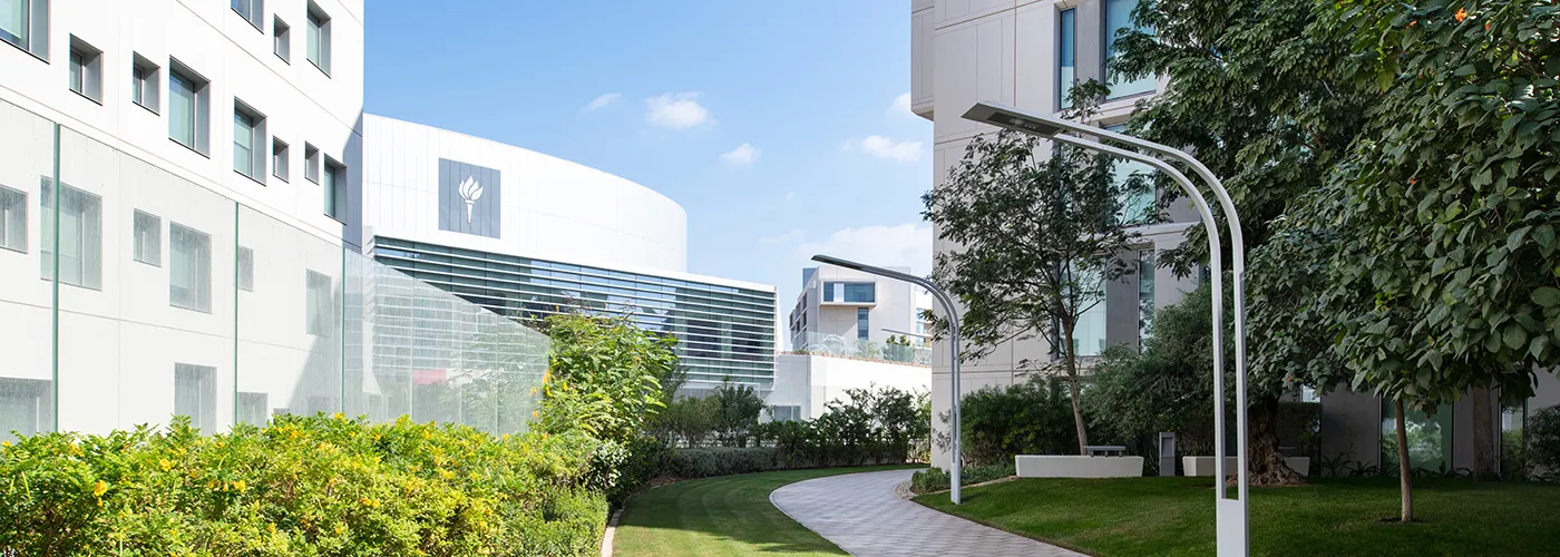  NYU Abu Dhabi Campus, view of the High Line. 