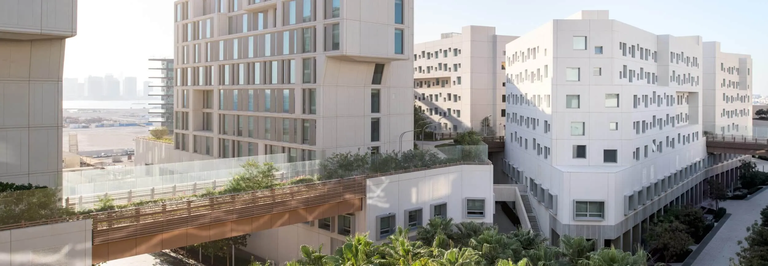  Contact NYU Abu Dhabi 